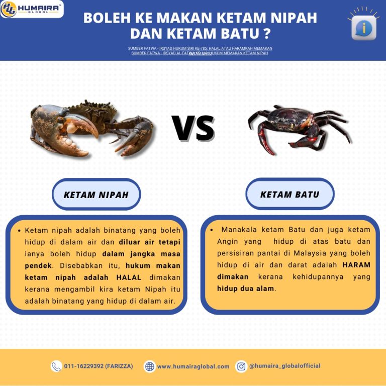 HUKUM MEMAKAN KETAM NIPAH DAN KETAM BATU - HUMAIRA GLOBAL MANAGEMENT ...